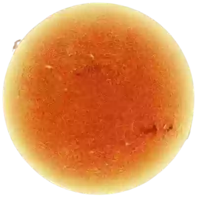 sun